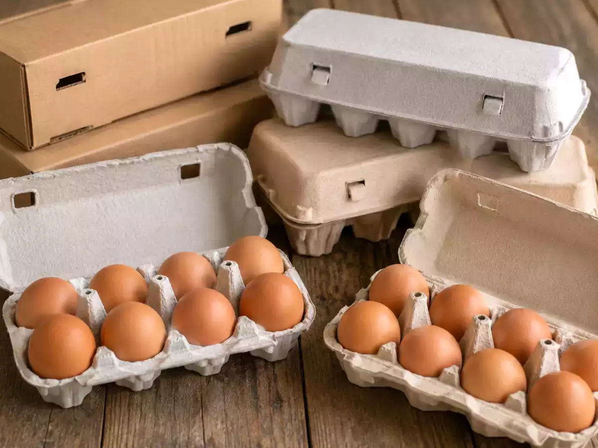 Des œufs vendus chez Lidl dans toute la France sont rappelés pour présence de salmonelles