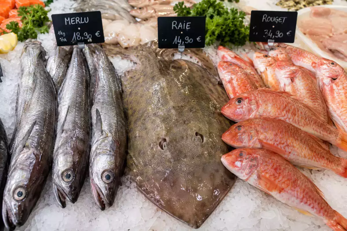 Merlu, raie, rouget : comment cuisiner les trois poissons à surveiller chez le poissonnier cet été