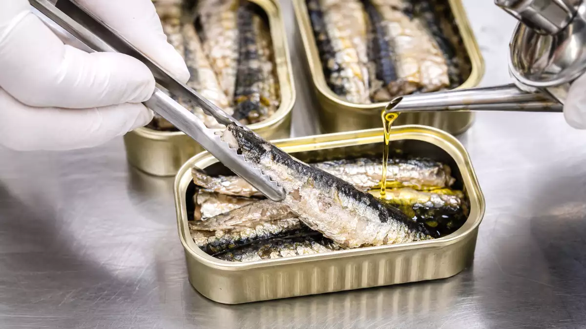 Sardines en conserve : ce qu’il faut vraiment savoir avant d’ouvrir une boîte