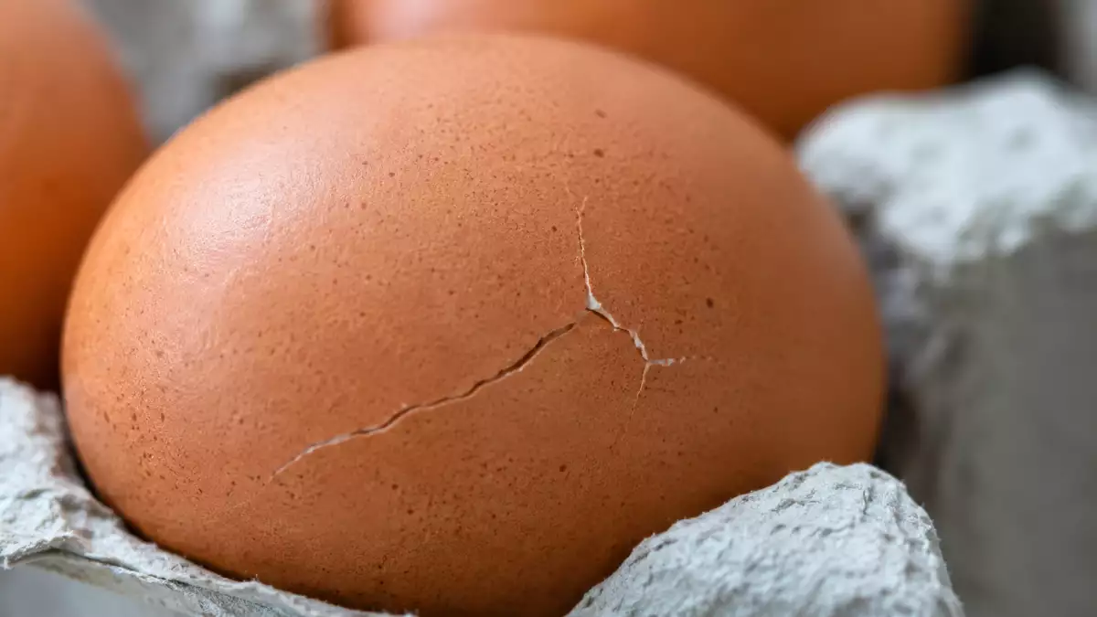 Un œuf est fêlé dans la boîte ? Le détail à vérifier avant de le casser