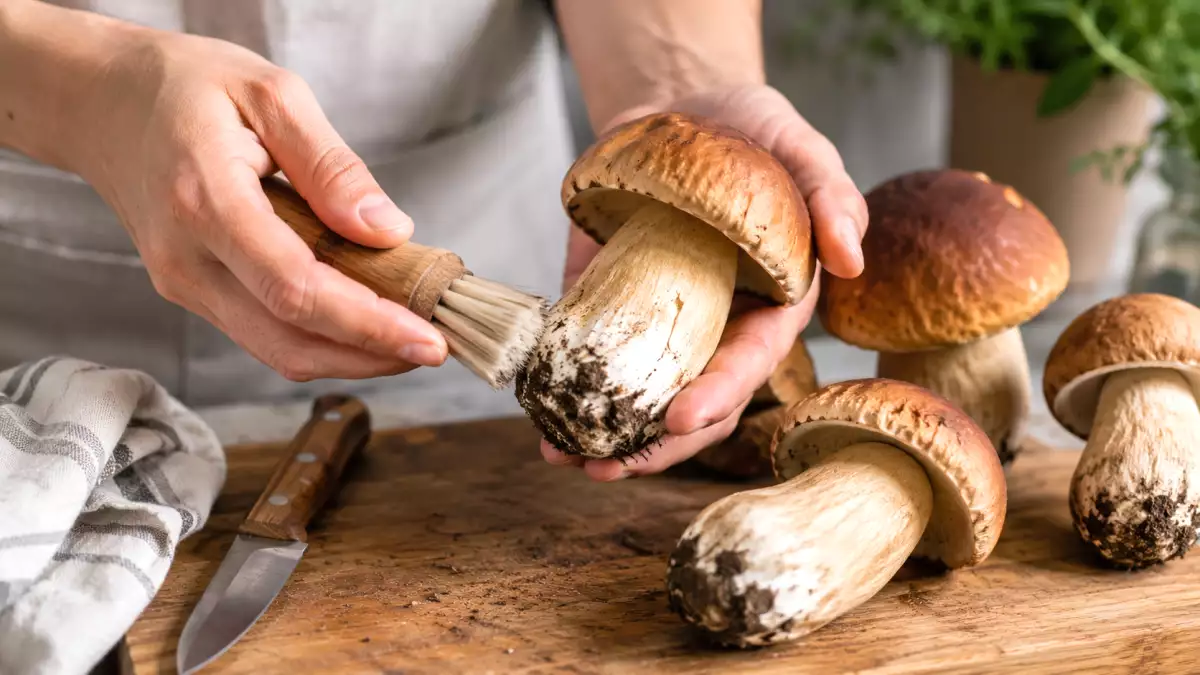 Le réflexe à éviter avant de faire revenir des cèpes à la poêle