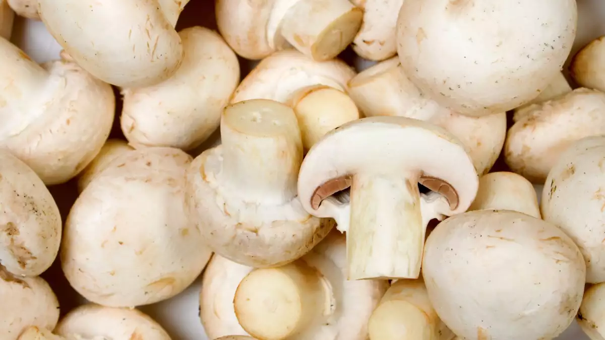 Vos champignons sont un peu bruns ? Voici quand les cuisiner et quand les jeter