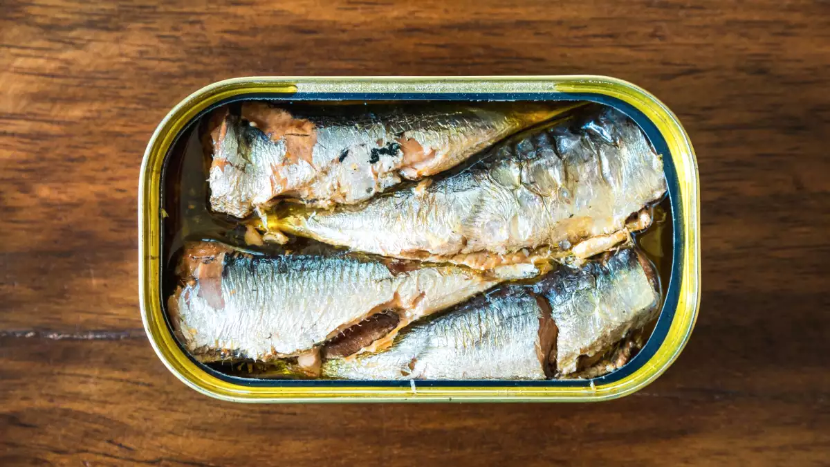 Plus de sardines en boîte ? Voici les meilleures alternatives selon ce que vous cuisinez