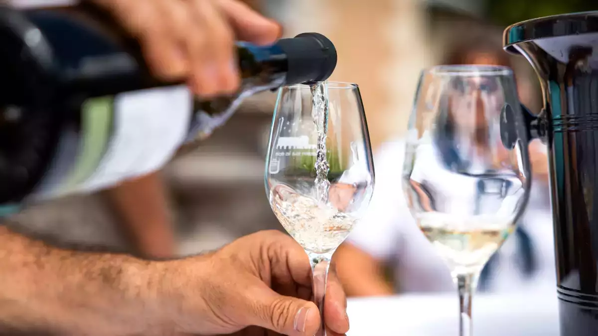 Vouvray : pourquoi ce grand vin blanc de Loire mérite d’être mieux connu