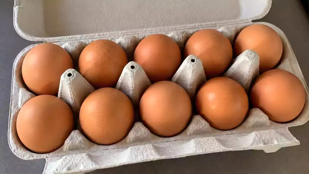 Des PFAS dans les œufs : ce que révèle vraiment cette enquête menée partout en France