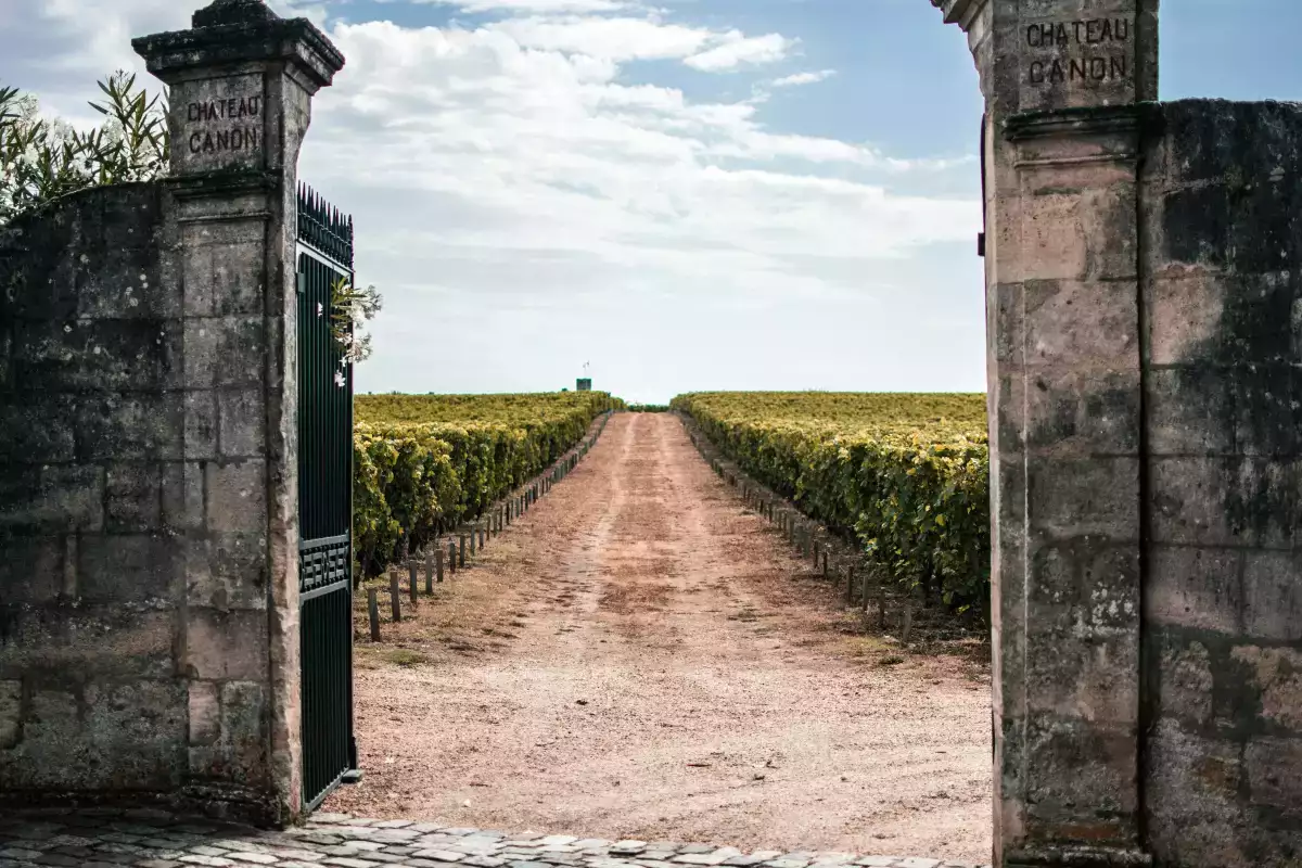 Saint-Émilion Grand Cru : pourquoi cette mention sur l’étiquette ne garantit pas forcément un meilleur vin et ce qu’il faut savoir avant d’acheter une bouteille