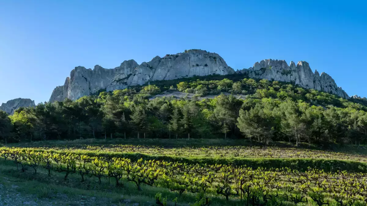Crus des Côtes du Rhône : vous connaissez Châteauneuf-du-Pape ou Gigondas, mais connaissez-vous les 18 crus de cette grande région viticole ?