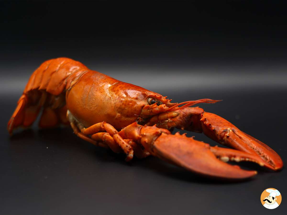 La méthode la plus efficace pour décongeler un homard