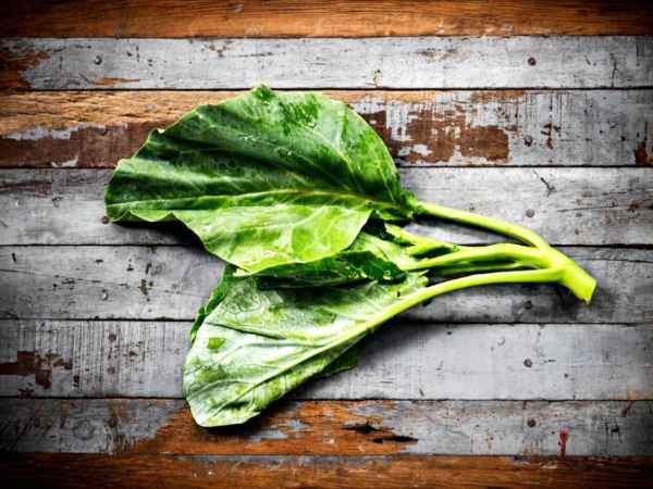 Ce légume contient plus de fer que les épinards ! L'avez-vous essayé ?