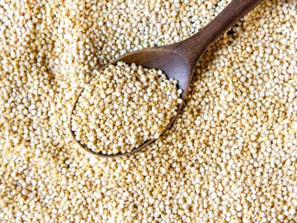 Ces graines qui contiennent (parfois) plus de protéines que la viande!