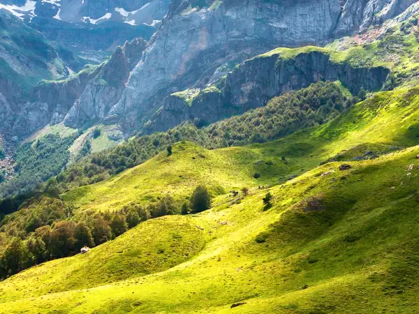 Sur la route du goût : une immersion savoureuse au cœur de l’Ossau-Iraty le 7 août 2025