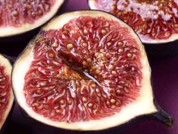 Comment conserver les figues après l’été : 6 techniques inratables pour en profiter toute l’année