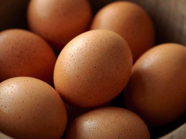 Pourquoi les œufs ne sont-ils pas lavés avant d’être vendus en France ?