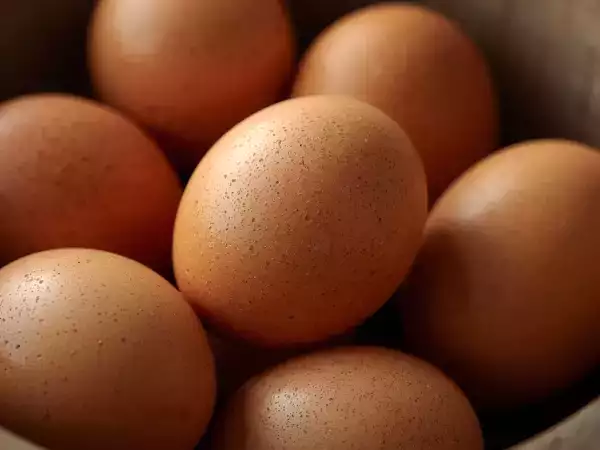 Pourquoi les œufs ne sont-ils pas lavés avant d’être vendus en France ?