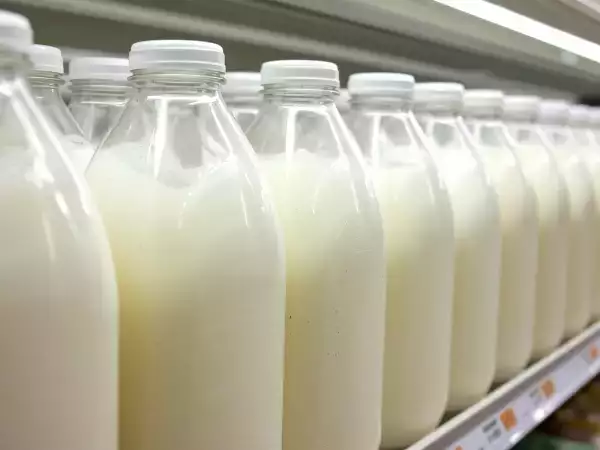 Derrière la bouteille de lait : qu'est-ce que signifie vraiment “UHT” ?
