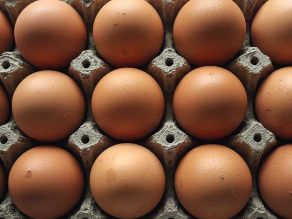 Ce chiffre inscrit sur vos œufs change tout… mais 8 Français sur 10 ignorent ce qu’il signifie vraiment