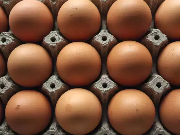 Ce chiffre inscrit sur vos œufs change tout… mais 8 Français sur 10 ignorent ce qu’il signifie vraiment