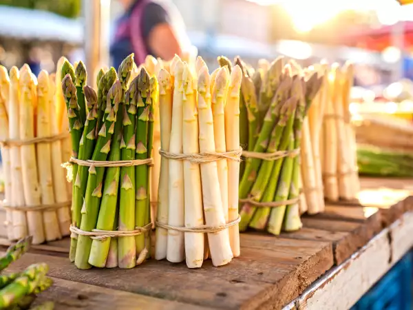 Asperges : pourquoi en manger change vraiment votre santé au printemps ?