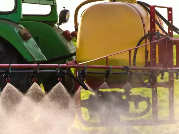 Manger bio suffit-il à éviter le cadmium ? Ce que dit vraiment l’Anses (et pourquoi le débat fait réagir)