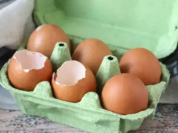 Vous remettez les coquilles d’œufs dans la boîte ? Attention, ce réflexe courant peut poser un vrai problème