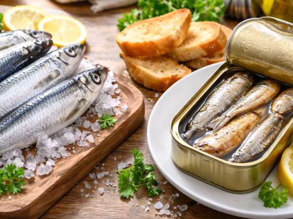 Sardines fraîches ou en boîte : lesquelles choisir vraiment ?