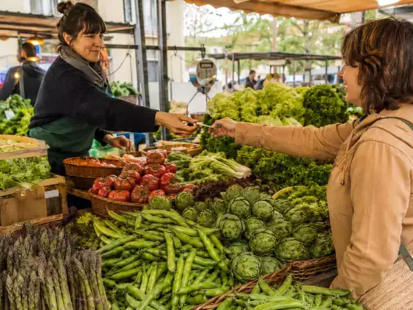Explorez 10 façons créatives de cuisiner les légumes du printemps