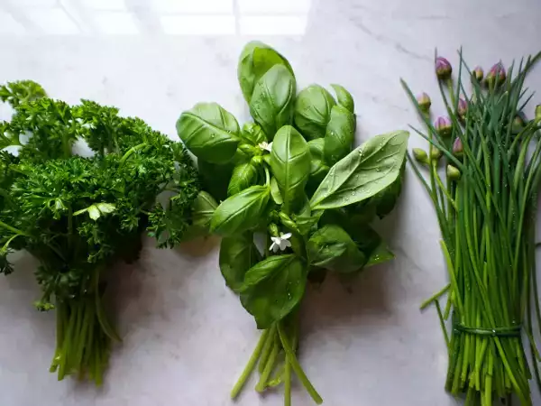 Arrêtez d’acheter des herbes aromatiques : ces astuces toutes simples permettent d’en avoir gratuitement presque toute l’année