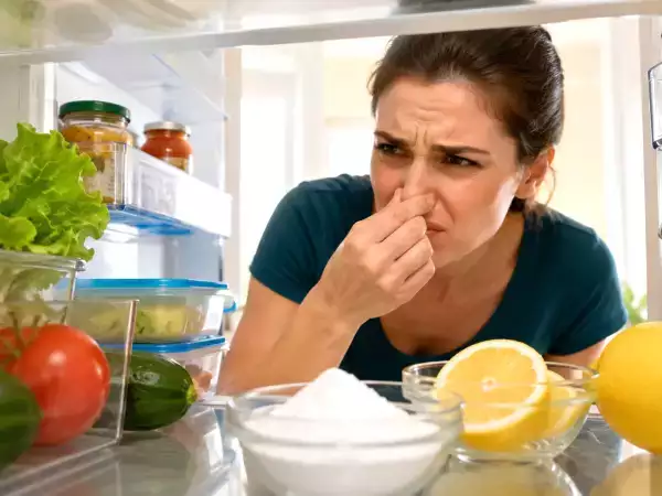 Votre réfrigérateur sent mauvais ? Les astuces de grand-mère qui fonctionnent vraiment (sans produits chimiques)