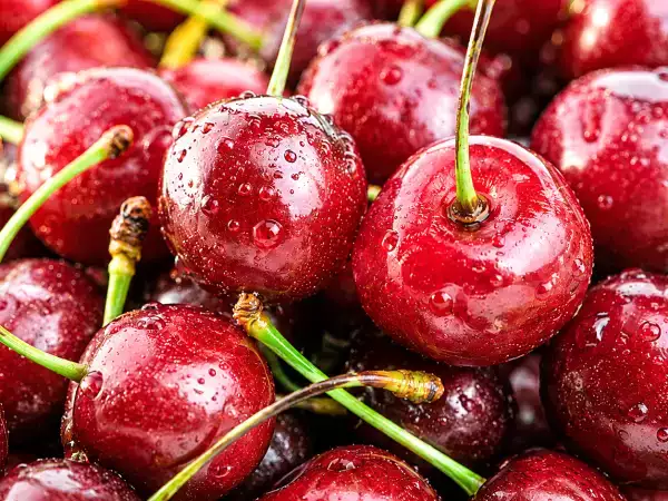 À ce prix-là, mieux vaut éviter les cerises fades : les signes à repérer avant d’acheter
