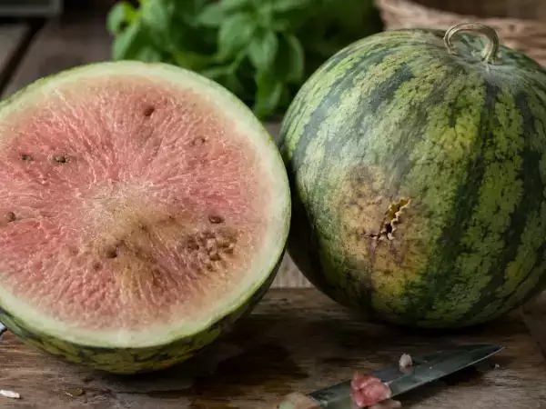 Comment reconnaître une pastèque qui n’est pas bonne ? Nos meilleurs conseils !