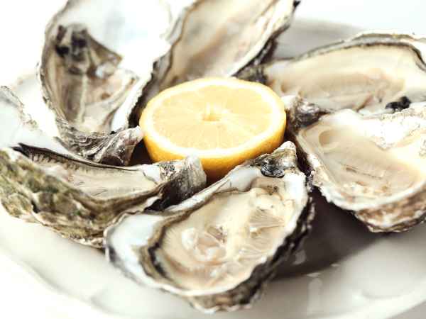 Nos meilleurs conseils pour la conservation de vos huîtres, pour en profiter plus longtemps !