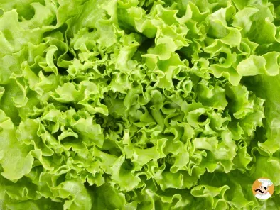 Comment effeuiller une salade verte super facilement ?