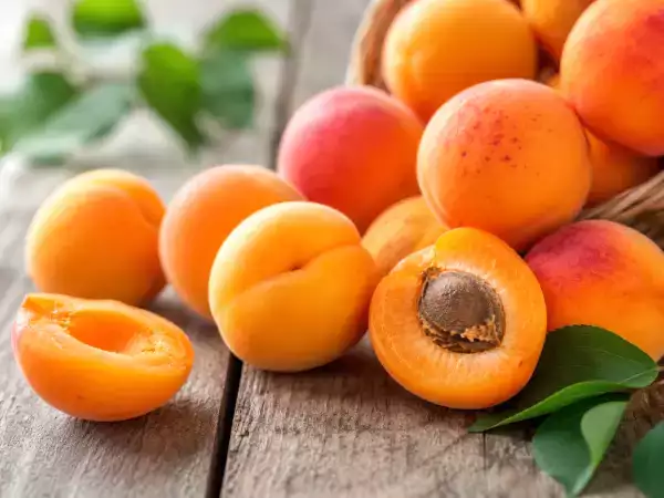 Les abricots sont particulièrement abordables en ce moment : 12 recettes pour en profiter