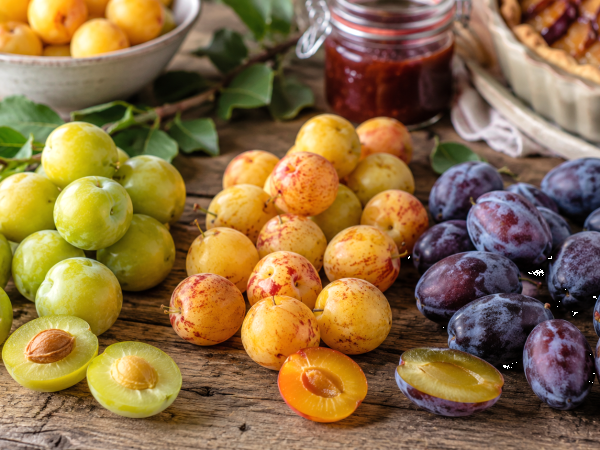 Reines-claudes, mirabelles, quetsches : quelles prunes choisir selon la recette ?
