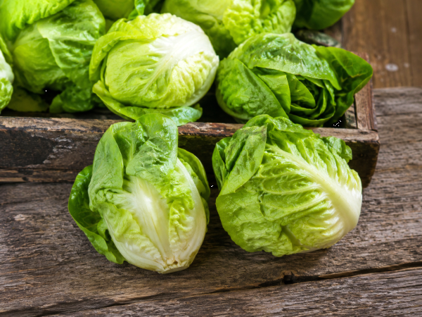 Vos salades semblent plus petites en ce moment ? La chaleur n’y est pas pour rien...