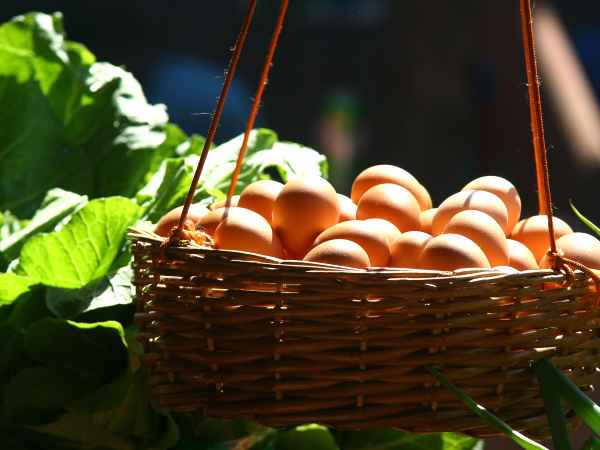 Cuisiner sans oeufs, c'est possible !