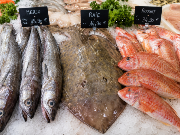 Merlu, raie, rouget : comment cuisiner les trois poissons à surveiller chez le poissonnier cet été