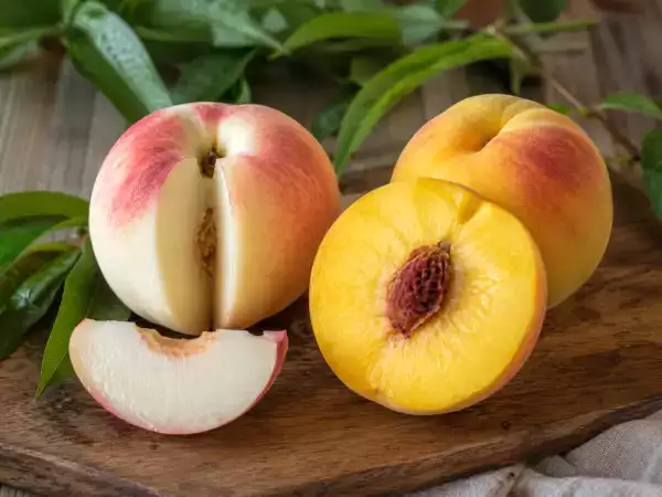 Pêche blanche ou pêche jaune : laquelle choisir selon la recette ?