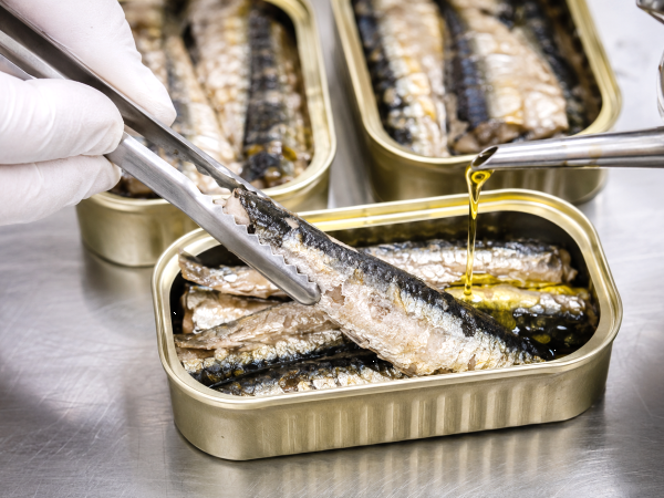 Sardines en conserve : ce qu’il faut vraiment savoir avant d’ouvrir une boîte