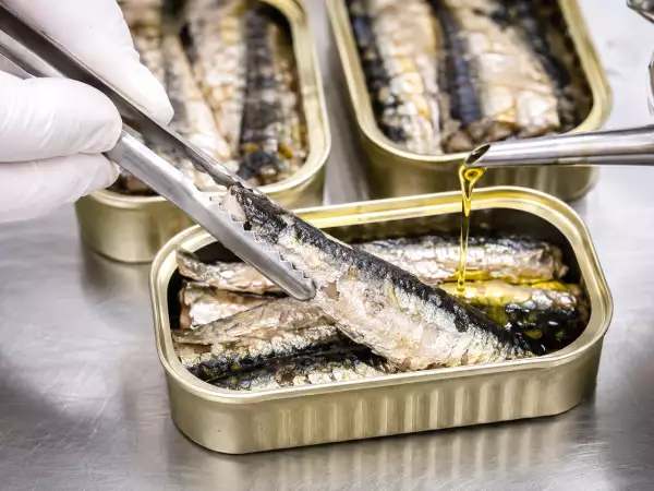 Sardines en conserve : ce qu’il faut vraiment savoir avant d’ouvrir une boîte