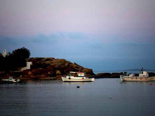 La pêche durable : la clé pour préserver nos océans et assurer le futur de nos assiettes !