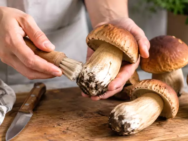 Le réflexe à éviter avant de faire revenir des cèpes à la poêle