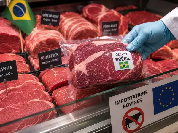 Bœuf brésilien : l’UE bloque de nouvelles importations, mais pas la viande déjà achetée