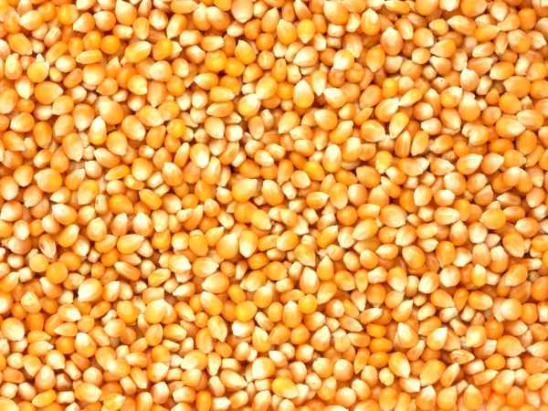 Rappel produit : Attention à ce maïs croustillant!