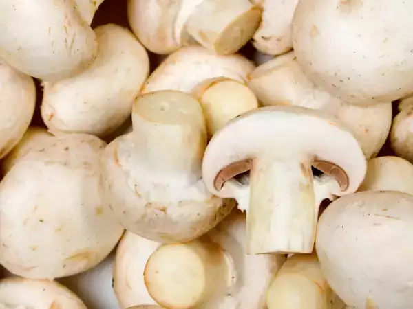 Vos champignons sont un peu bruns ? Voici quand les cuisiner et quand les jeter