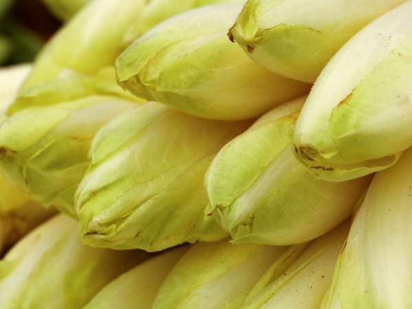 Comment éviter que les endives rendent toute leur eau dans le gratin