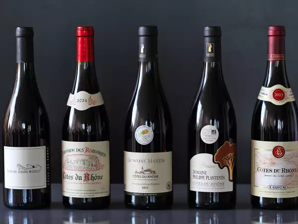 5 Côtes-du-Rhône rouges à moins de 10 € : notre sélection à petit prix et les recettes parfaites pour les accompagner