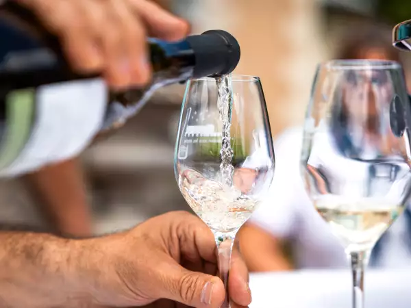 Vouvray : pourquoi ce grand vin blanc de Loire mérite d’être mieux connu