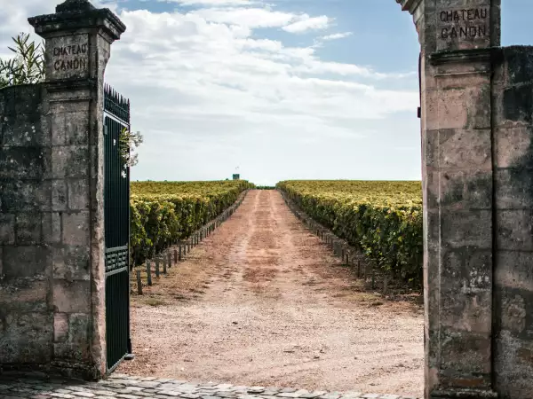 Saint-Émilion Grand Cru : pourquoi cette mention sur l’étiquette ne garantit pas forcément un meilleur vin et ce qu’il faut savoir avant d’acheter une bouteille