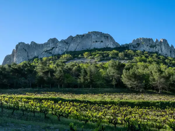 Crus des Côtes du Rhône : vous connaissez Châteauneuf-du-Pape ou Gigondas, mais connaissez-vous les 18 crus de cette grande région viticole ?